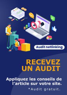 Audit netlinking seo